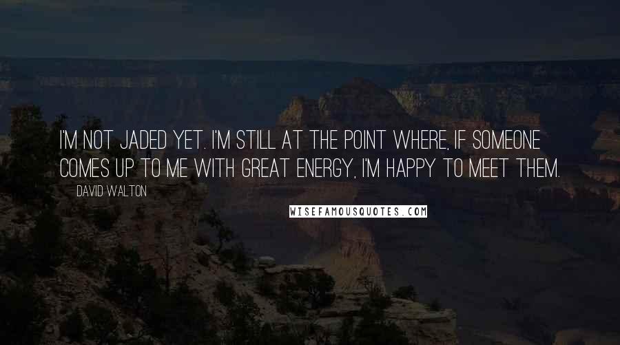David Walton Quotes: I'm not jaded yet. I'm still at the point where, if someone comes up to me with great energy, I'm happy to meet them.
