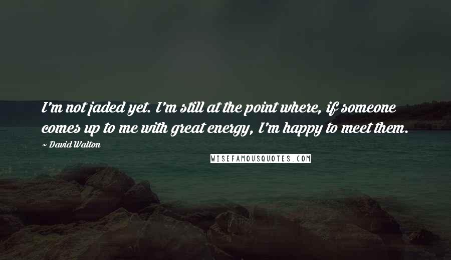 David Walton Quotes: I'm not jaded yet. I'm still at the point where, if someone comes up to me with great energy, I'm happy to meet them.