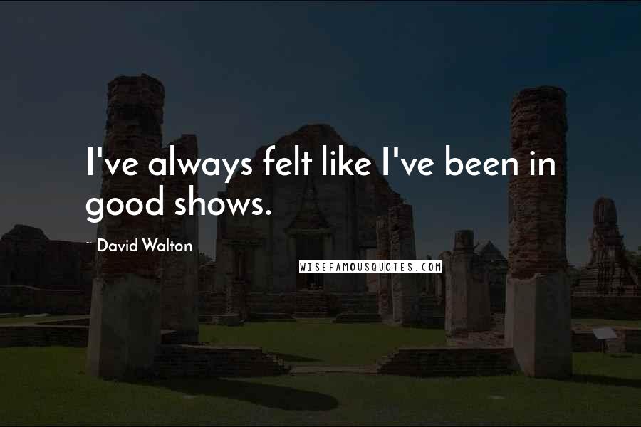 David Walton Quotes: I've always felt like I've been in good shows.