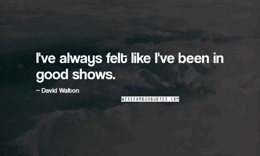 David Walton Quotes: I've always felt like I've been in good shows.