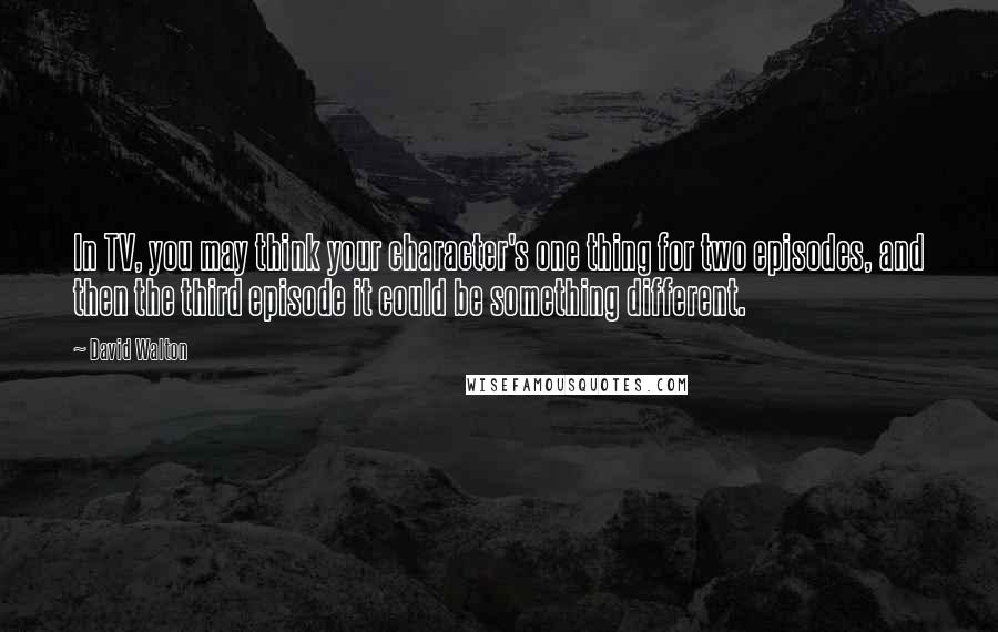 David Walton Quotes: In TV, you may think your character's one thing for two episodes, and then the third episode it could be something different.