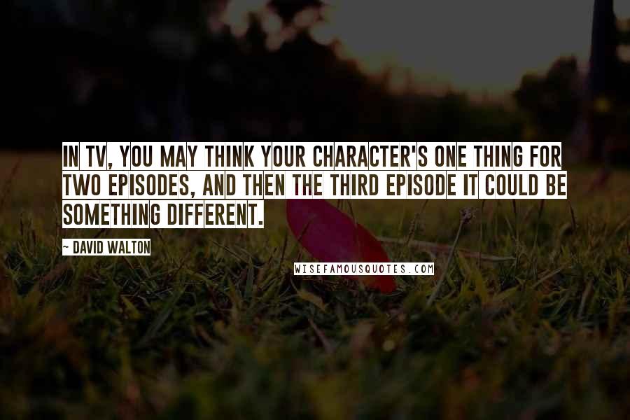 David Walton Quotes: In TV, you may think your character's one thing for two episodes, and then the third episode it could be something different.