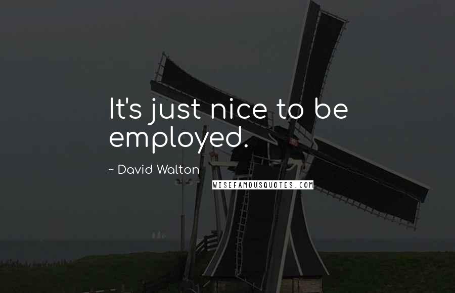 David Walton Quotes: It's just nice to be employed.