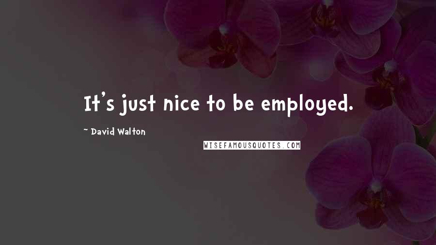 David Walton Quotes: It's just nice to be employed.