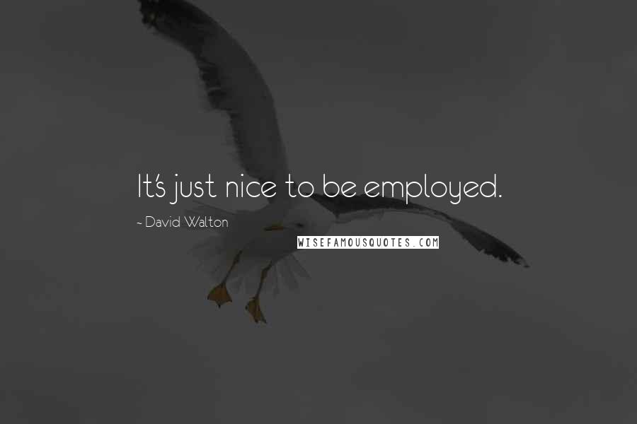 David Walton Quotes: It's just nice to be employed.