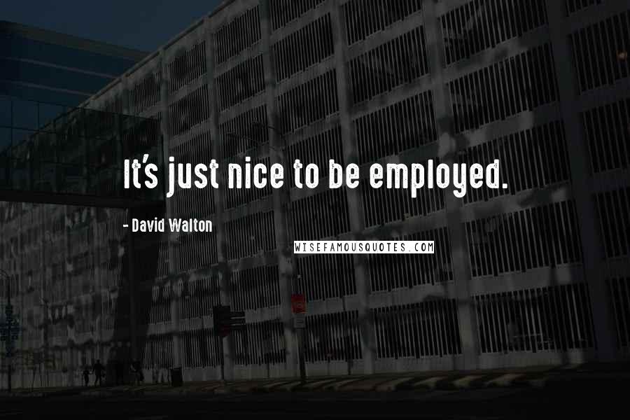 David Walton Quotes: It's just nice to be employed.