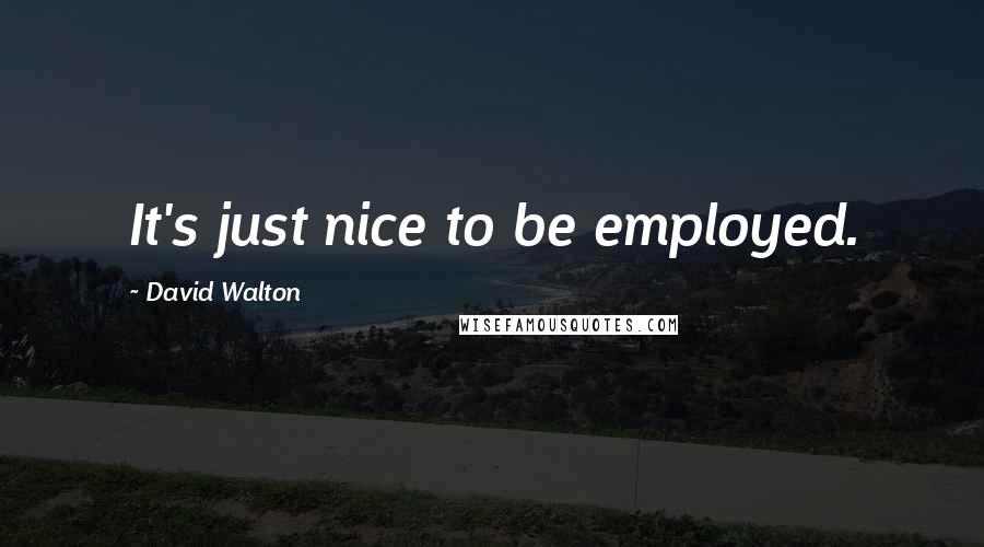 David Walton Quotes: It's just nice to be employed.