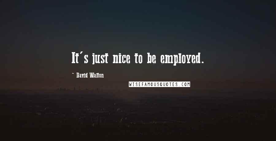 David Walton Quotes: It's just nice to be employed.