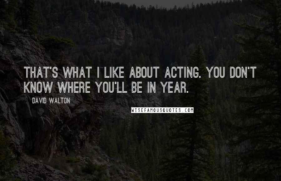 David Walton Quotes: That's what I like about acting. You don't know where you'll be in year.