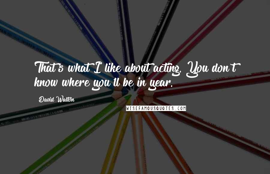 David Walton Quotes: That's what I like about acting. You don't know where you'll be in year.