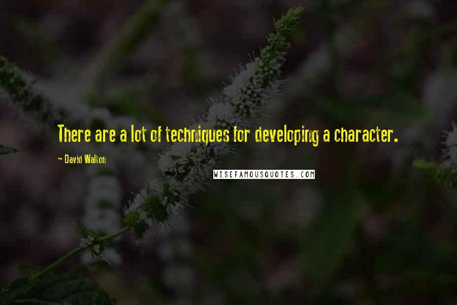 David Walton Quotes: There are a lot of techniques for developing a character.