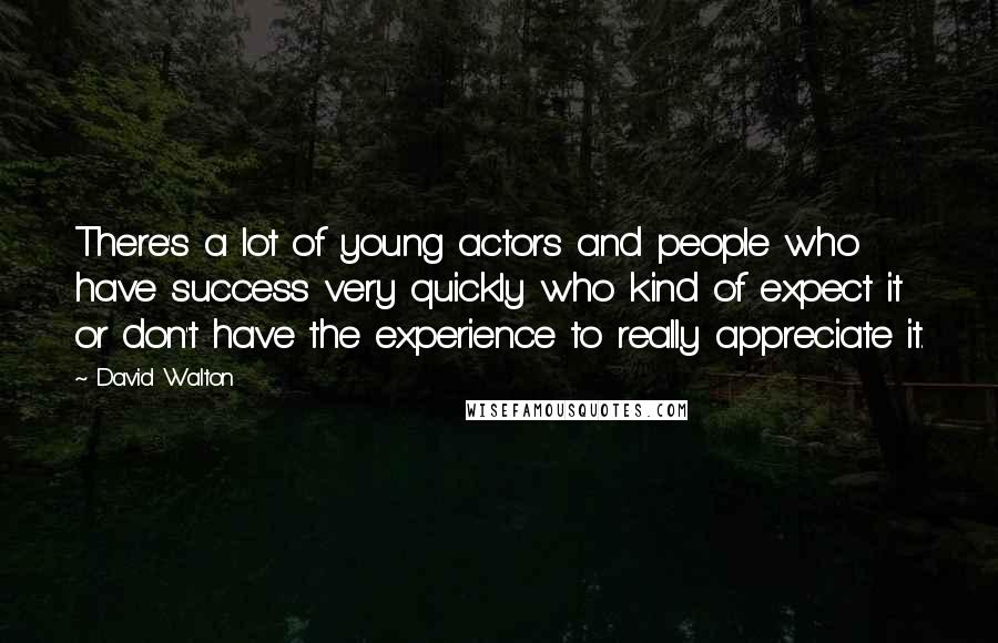 David Walton Quotes: There's a lot of young actors and people who have success very quickly who kind of expect it or don't have the experience to really appreciate it.