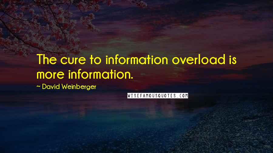 David Weinberger Quotes: The cure to information overload is more information.