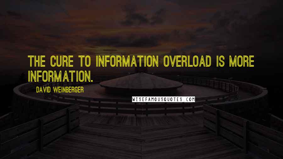 David Weinberger Quotes: The cure to information overload is more information.