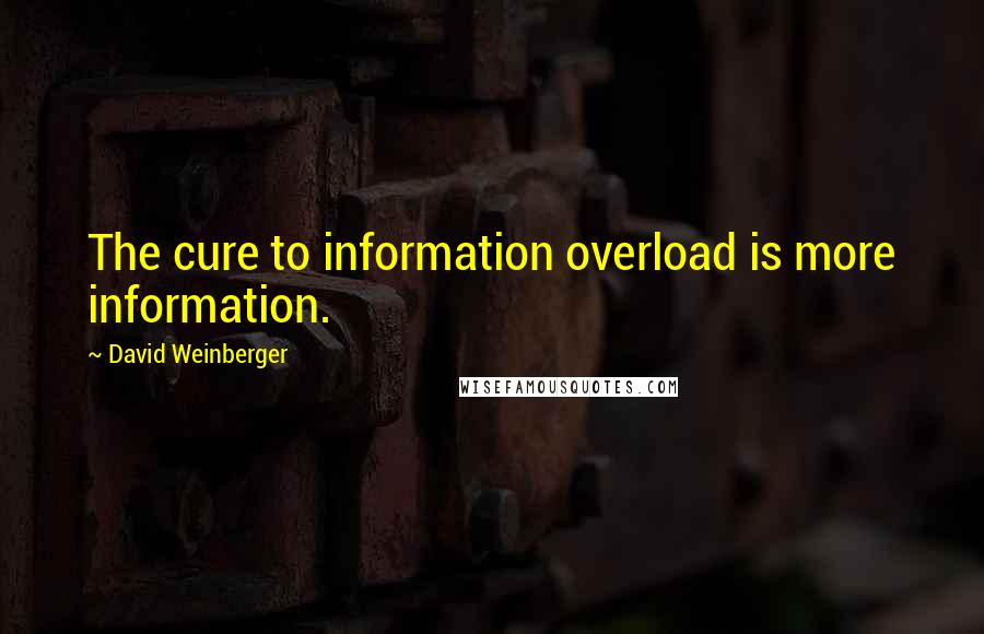 David Weinberger Quotes: The cure to information overload is more information.