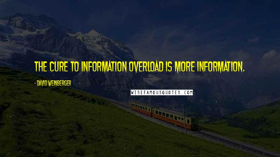 David Weinberger Quotes: The cure to information overload is more information.