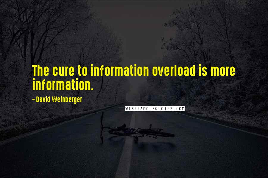 David Weinberger Quotes: The cure to information overload is more information.