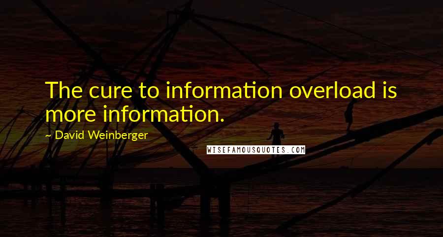 David Weinberger Quotes: The cure to information overload is more information.