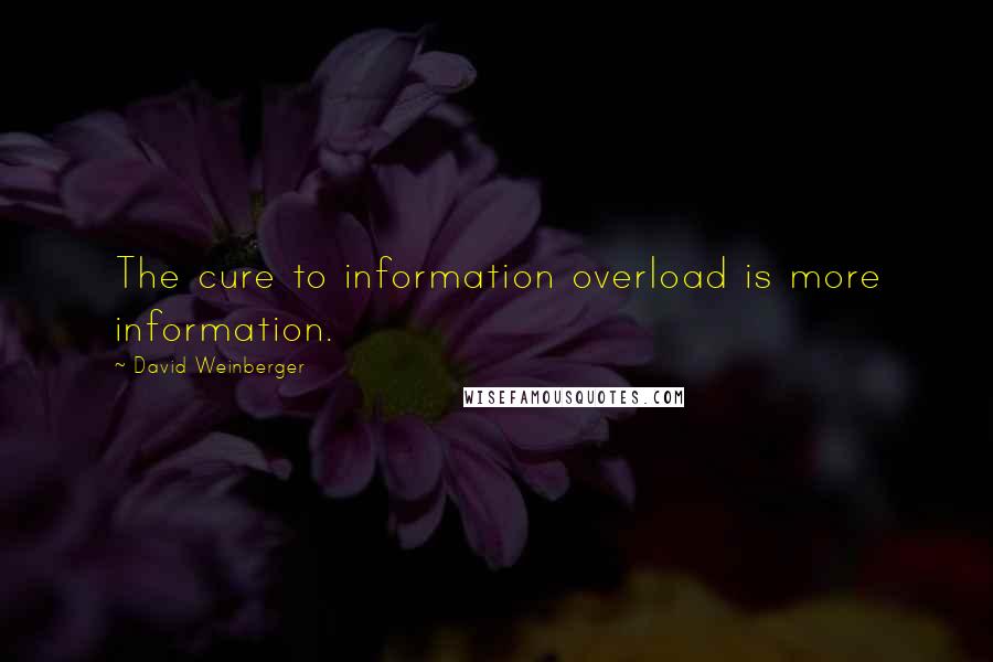 David Weinberger Quotes: The cure to information overload is more information.