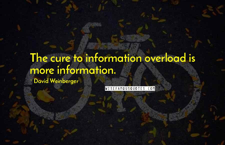 David Weinberger Quotes: The cure to information overload is more information.