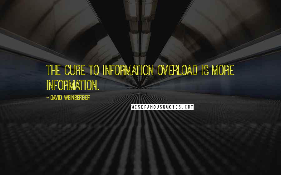 David Weinberger Quotes: The cure to information overload is more information.