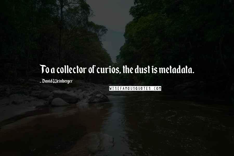 David Weinberger Quotes: To a collector of curios, the dust is metadata.