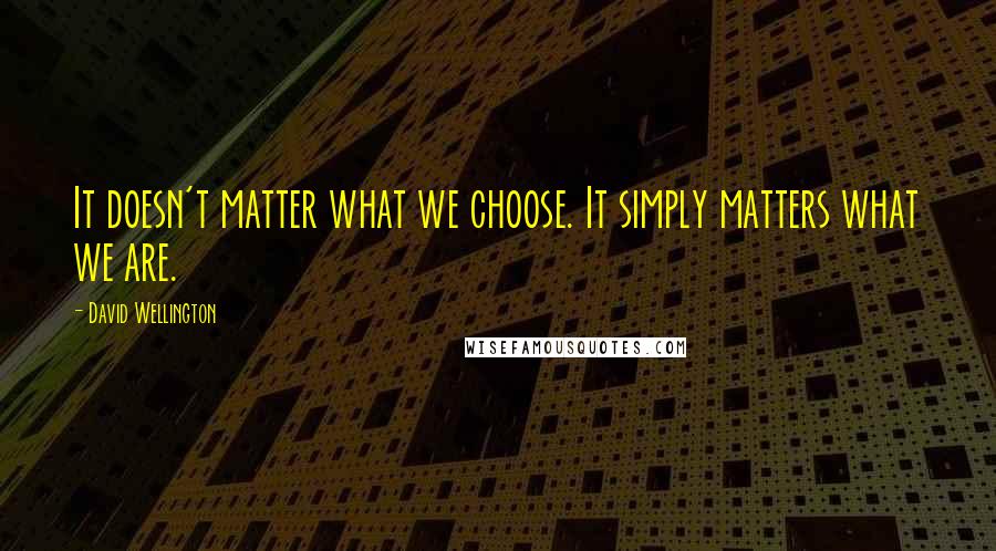 David Wellington Quotes: It doesn't matter what we choose. It simply matters what we are.