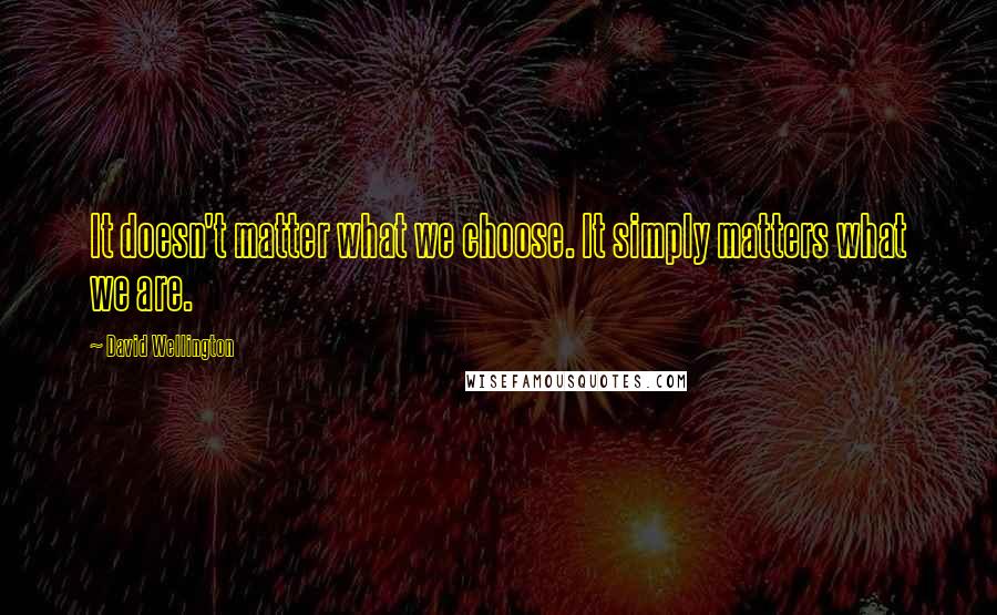 David Wellington Quotes: It doesn't matter what we choose. It simply matters what we are.