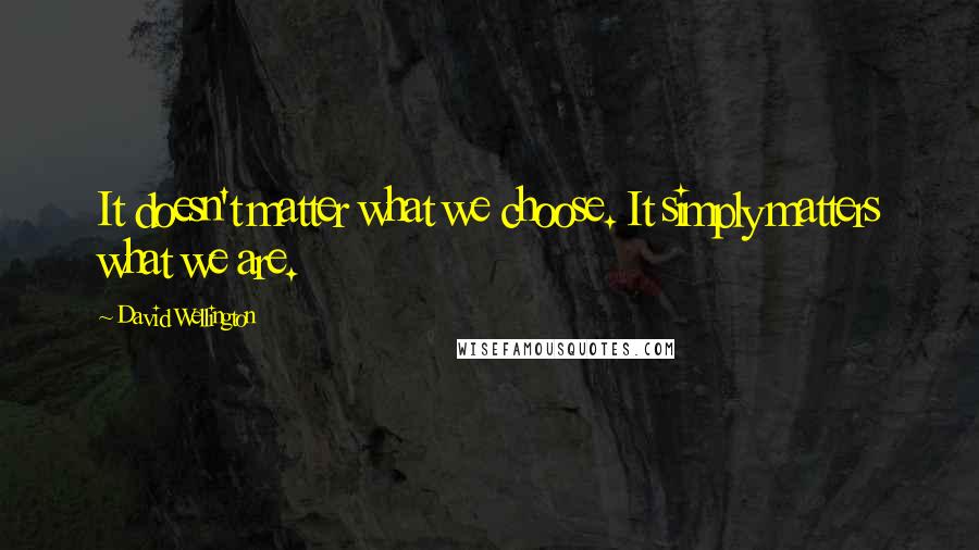 David Wellington Quotes: It doesn't matter what we choose. It simply matters what we are.