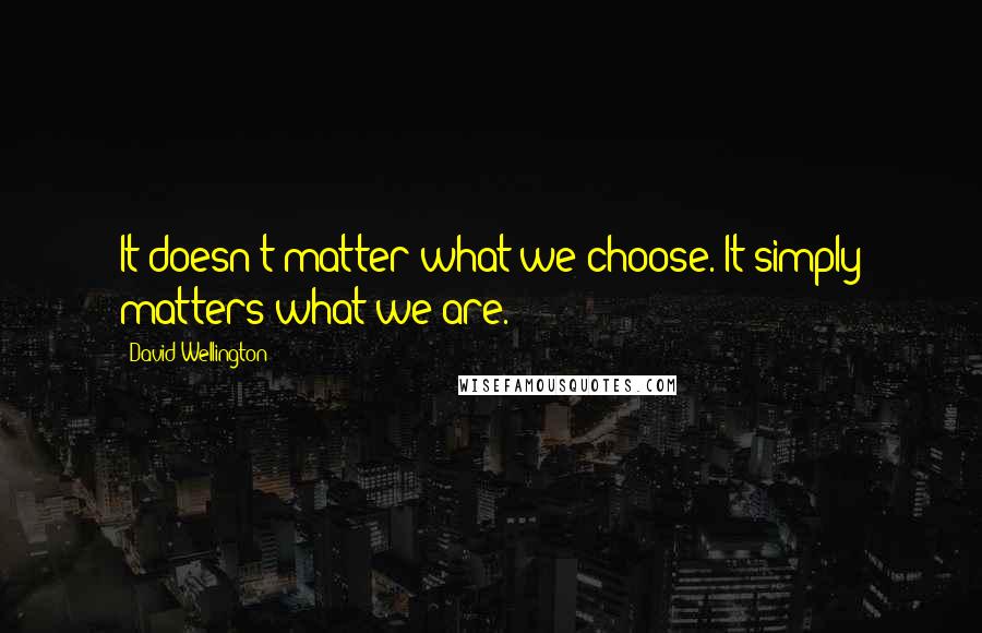 David Wellington Quotes: It doesn't matter what we choose. It simply matters what we are.