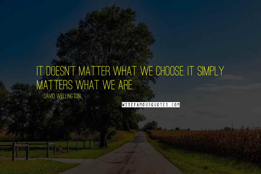 David Wellington Quotes: It doesn't matter what we choose. It simply matters what we are.