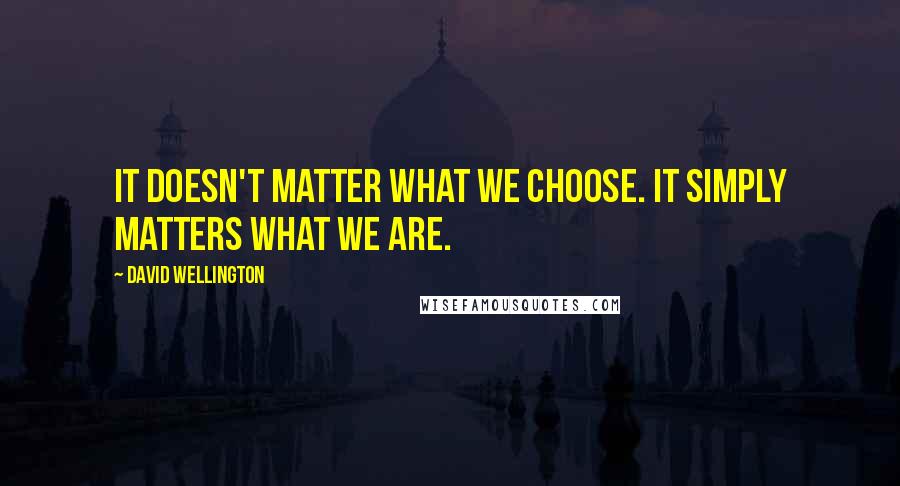 David Wellington Quotes: It doesn't matter what we choose. It simply matters what we are.