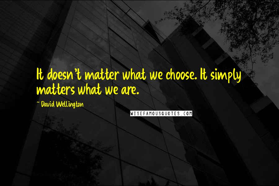 David Wellington Quotes: It doesn't matter what we choose. It simply matters what we are.