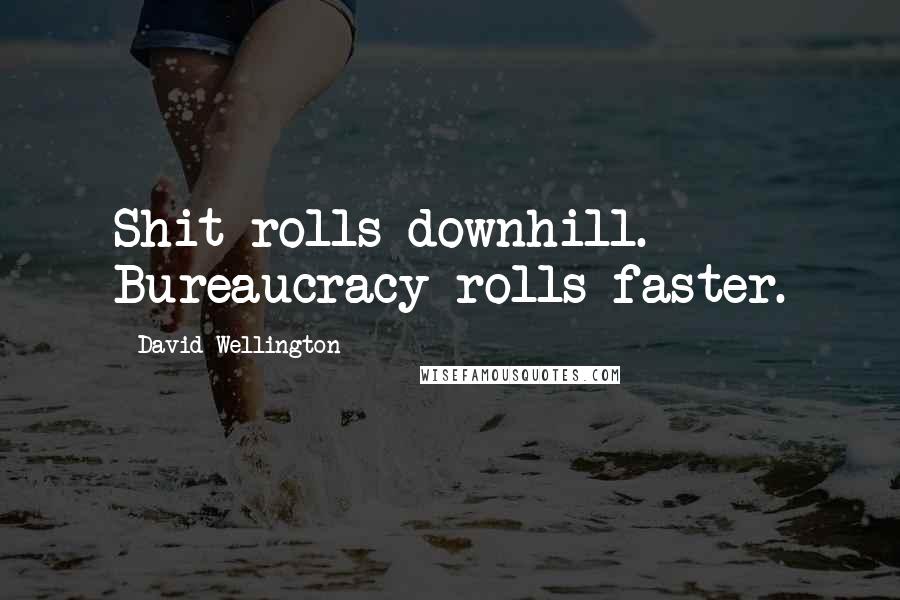 David Wellington Quotes: Shit rolls downhill. Bureaucracy rolls faster.