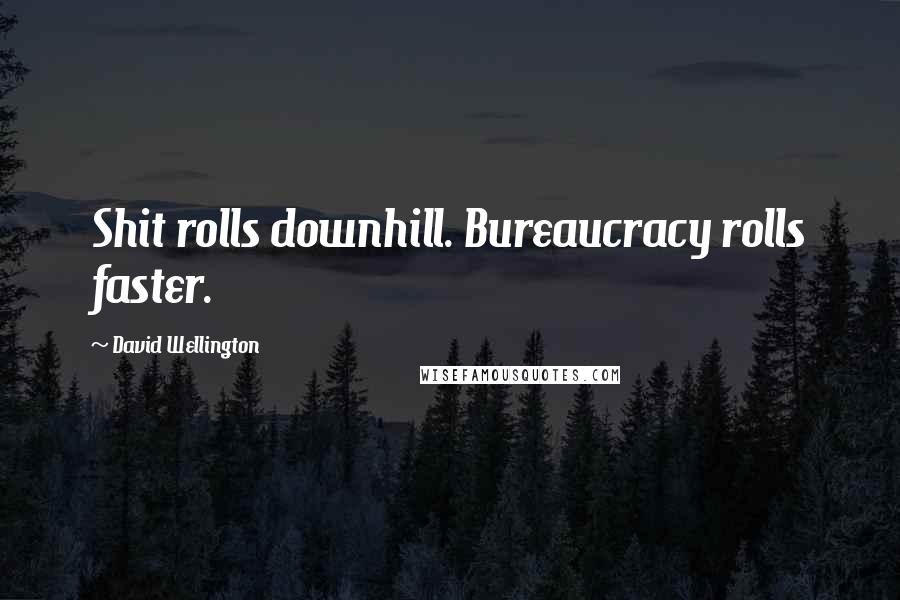 David Wellington Quotes: Shit rolls downhill. Bureaucracy rolls faster.