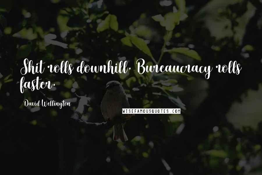 David Wellington Quotes: Shit rolls downhill. Bureaucracy rolls faster.