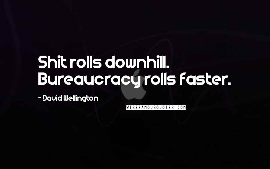 David Wellington Quotes: Shit rolls downhill. Bureaucracy rolls faster.