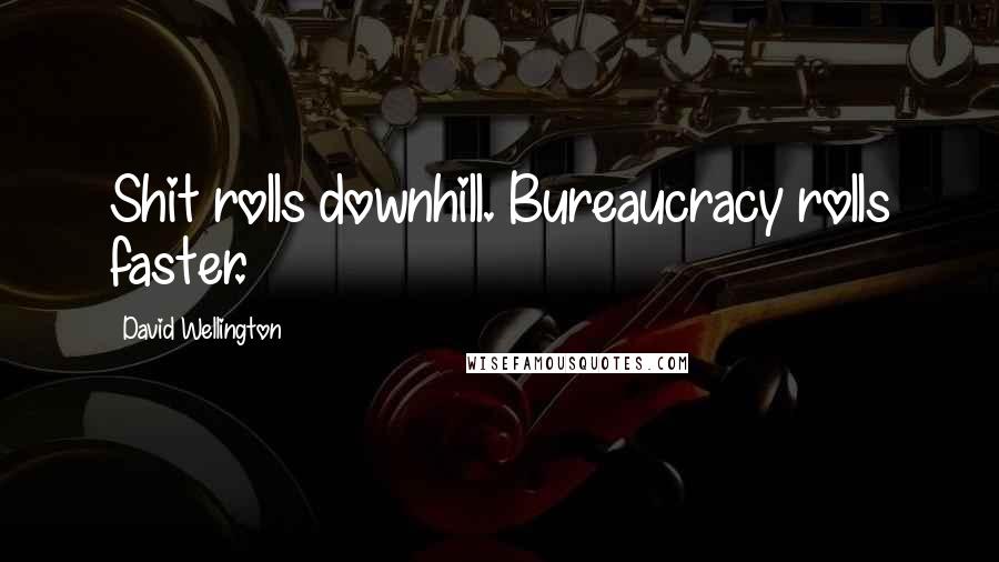 David Wellington Quotes: Shit rolls downhill. Bureaucracy rolls faster.