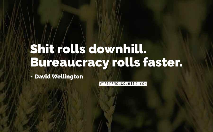 David Wellington Quotes: Shit rolls downhill. Bureaucracy rolls faster.