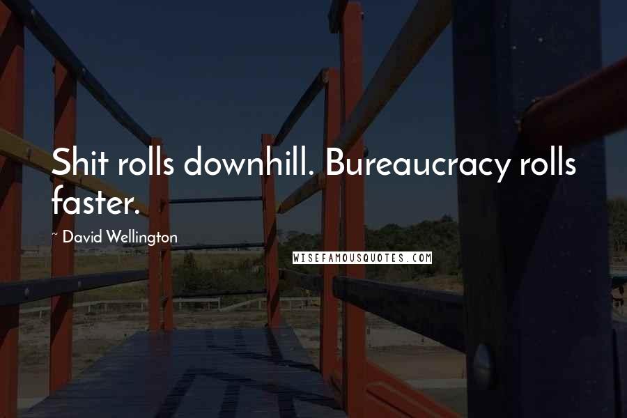David Wellington Quotes: Shit rolls downhill. Bureaucracy rolls faster.