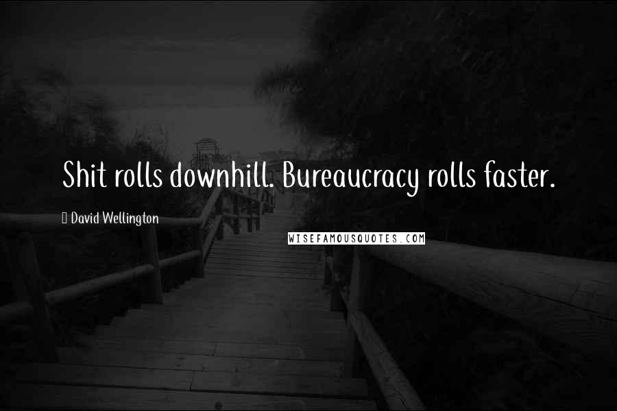 David Wellington Quotes: Shit rolls downhill. Bureaucracy rolls faster.