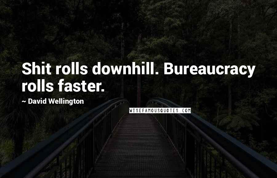 David Wellington Quotes: Shit rolls downhill. Bureaucracy rolls faster.