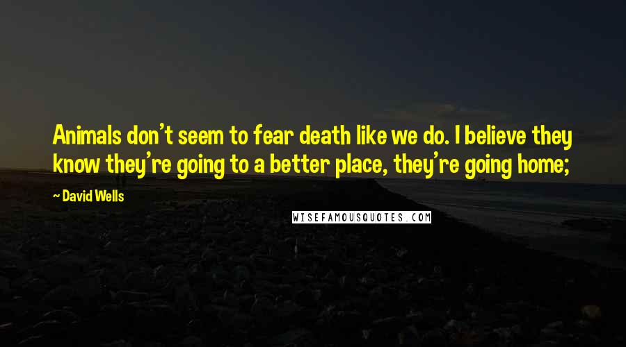 David Wells Quotes: Animals don't seem to fear death like we do. I believe they know they're going to a better place, they're going home;