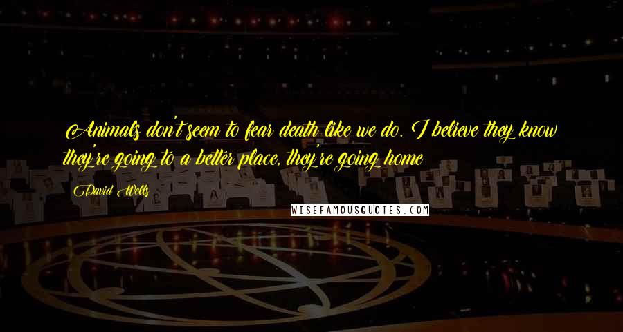 David Wells Quotes: Animals don't seem to fear death like we do. I believe they know they're going to a better place, they're going home;