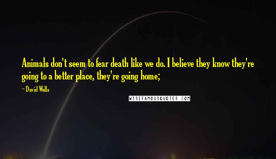 David Wells Quotes: Animals don't seem to fear death like we do. I believe they know they're going to a better place, they're going home;