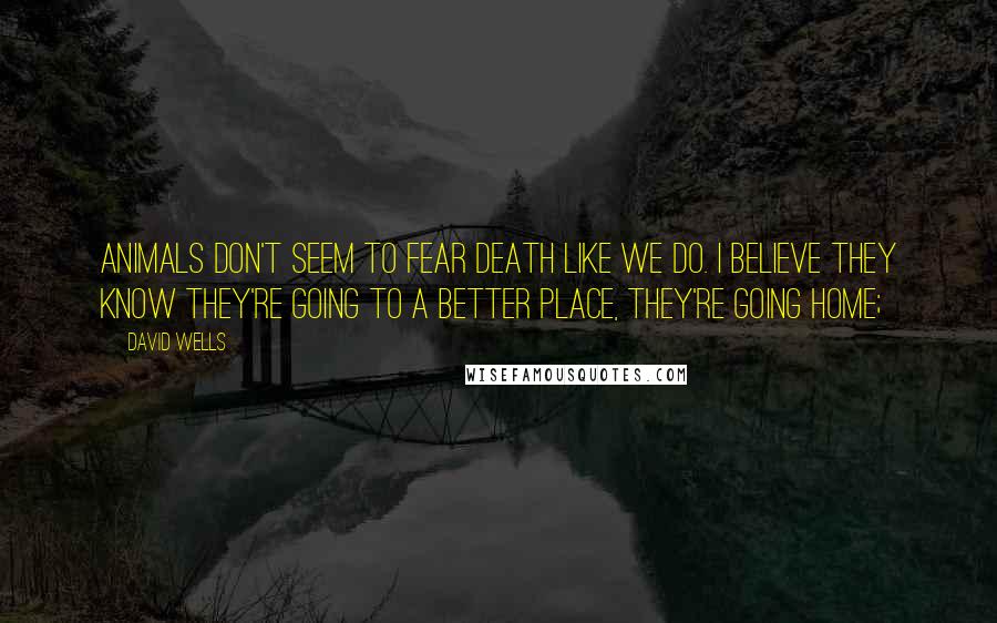 David Wells Quotes: Animals don't seem to fear death like we do. I believe they know they're going to a better place, they're going home;