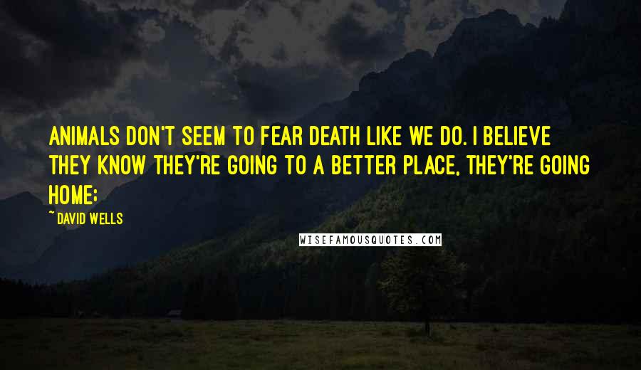 David Wells Quotes: Animals don't seem to fear death like we do. I believe they know they're going to a better place, they're going home;