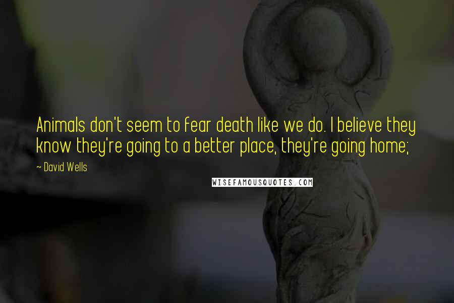 David Wells Quotes: Animals don't seem to fear death like we do. I believe they know they're going to a better place, they're going home;