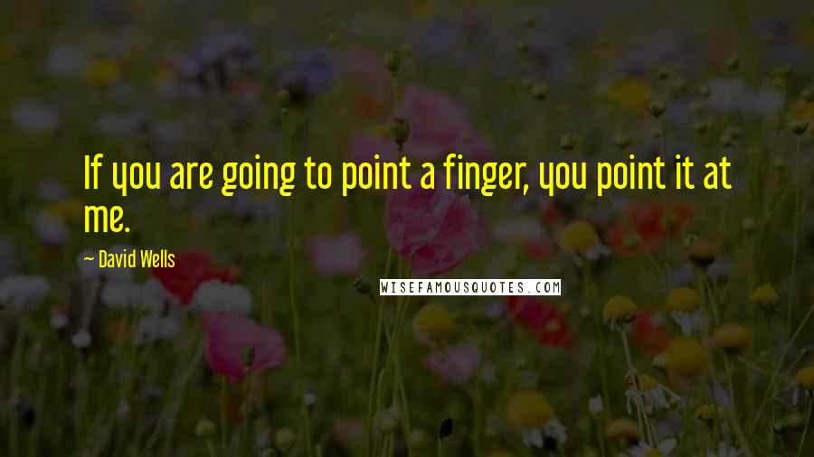 David Wells Quotes: If you are going to point a finger, you point it at me.