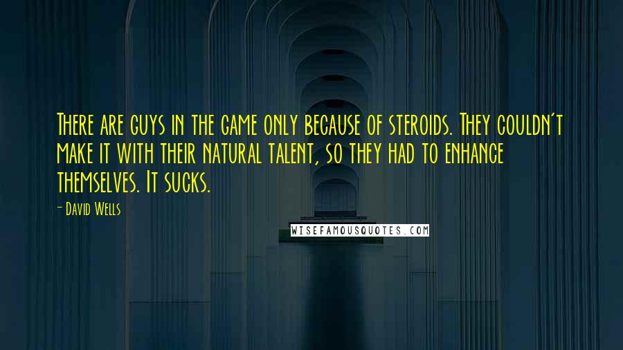 David Wells Quotes: There are guys in the game only because of steroids. They couldn't make it with their natural talent, so they had to enhance themselves. It sucks.